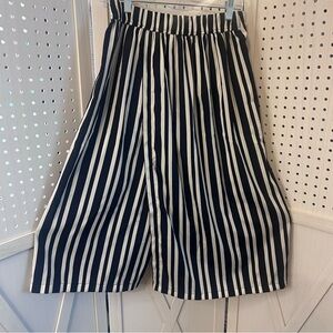 Zara Navy and White Striped Pants